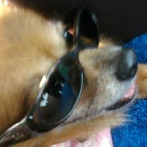 Meet your Posher, Debra